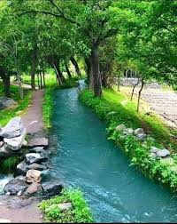 تصویر کارگاه رشته شبکه ونرم افزار